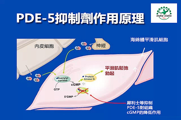 PDE5抑制劑是什麼